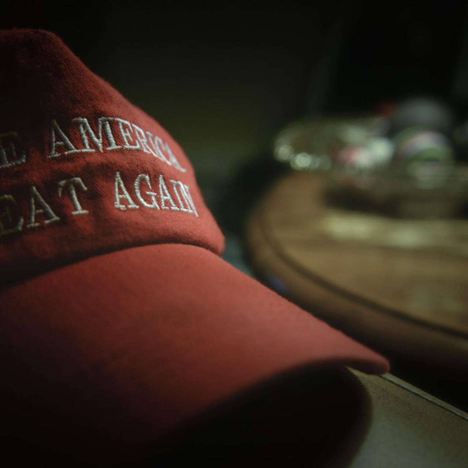 What the Epstein Files Tell Us about the Right Wing