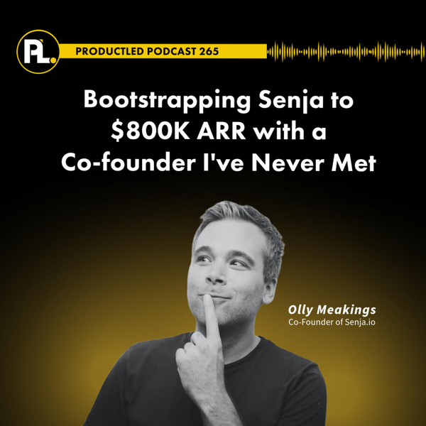Bootstrapping Senja to $800K ARR with a Co-founder I've Never Met artwork
