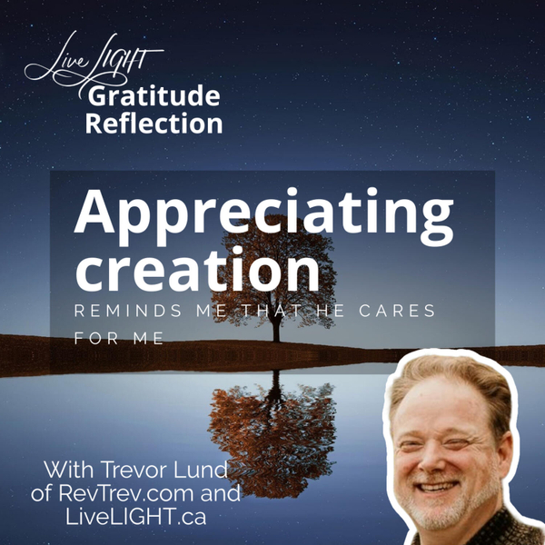 Appreciating creation reminds me that He cares for me artwork