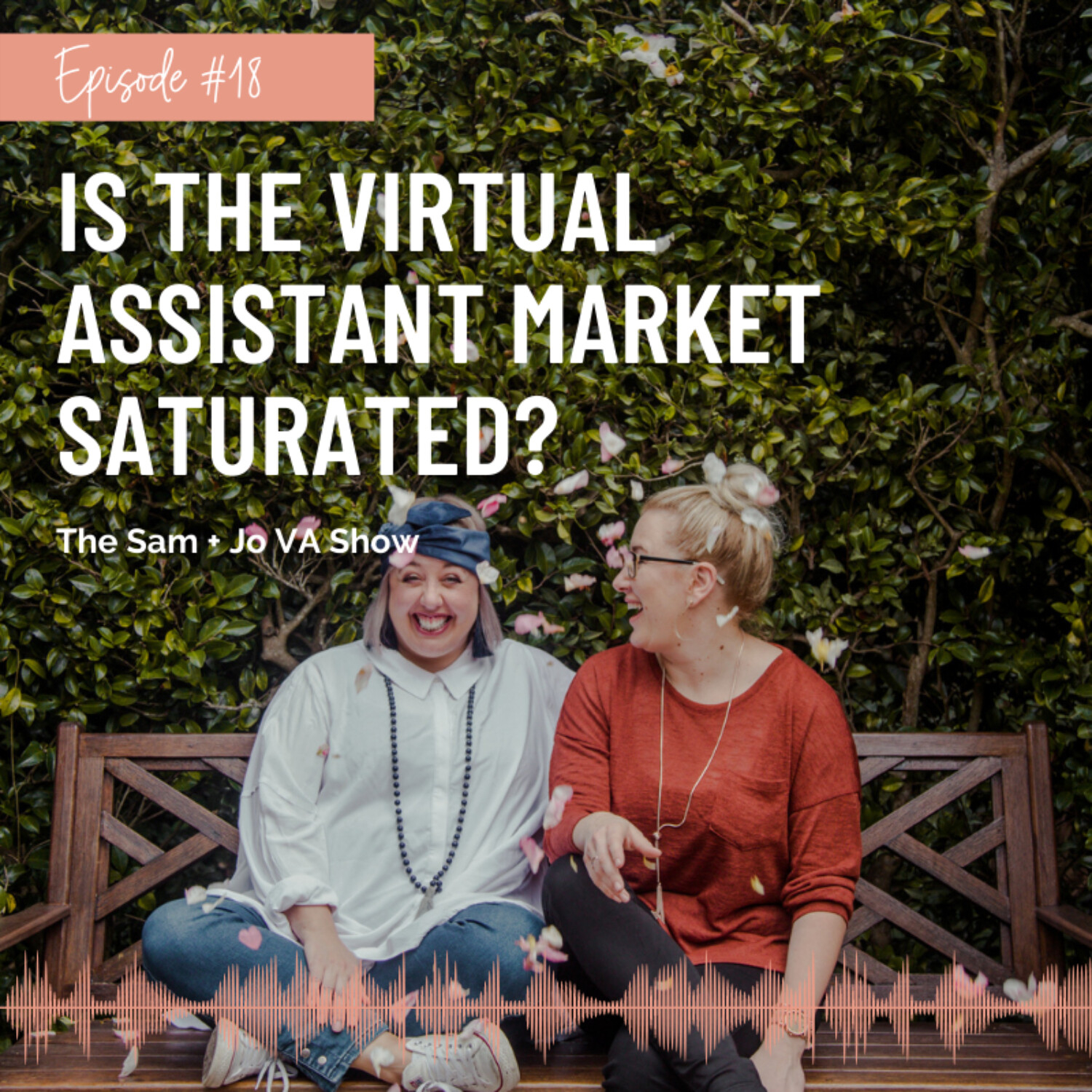 #18 Is The Virtual Assistant Market Saturated