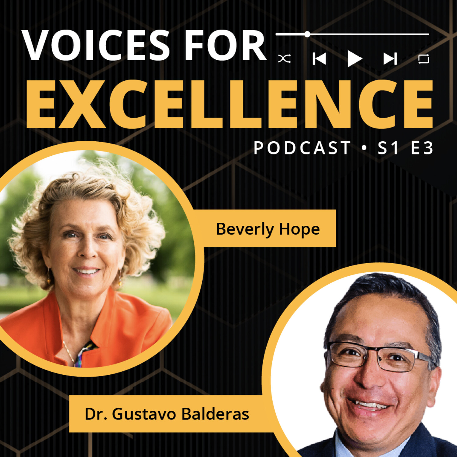 Voices for Excellence