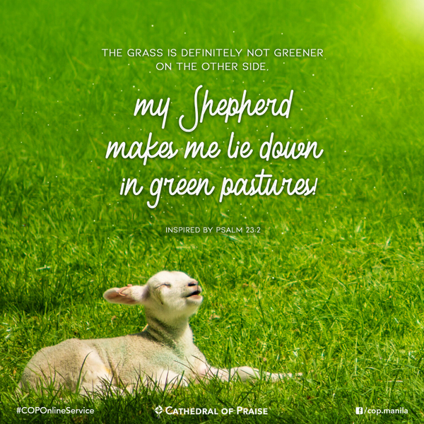 Psalm 23:2- My Shepherd makes me lie down in green pastures. artwork