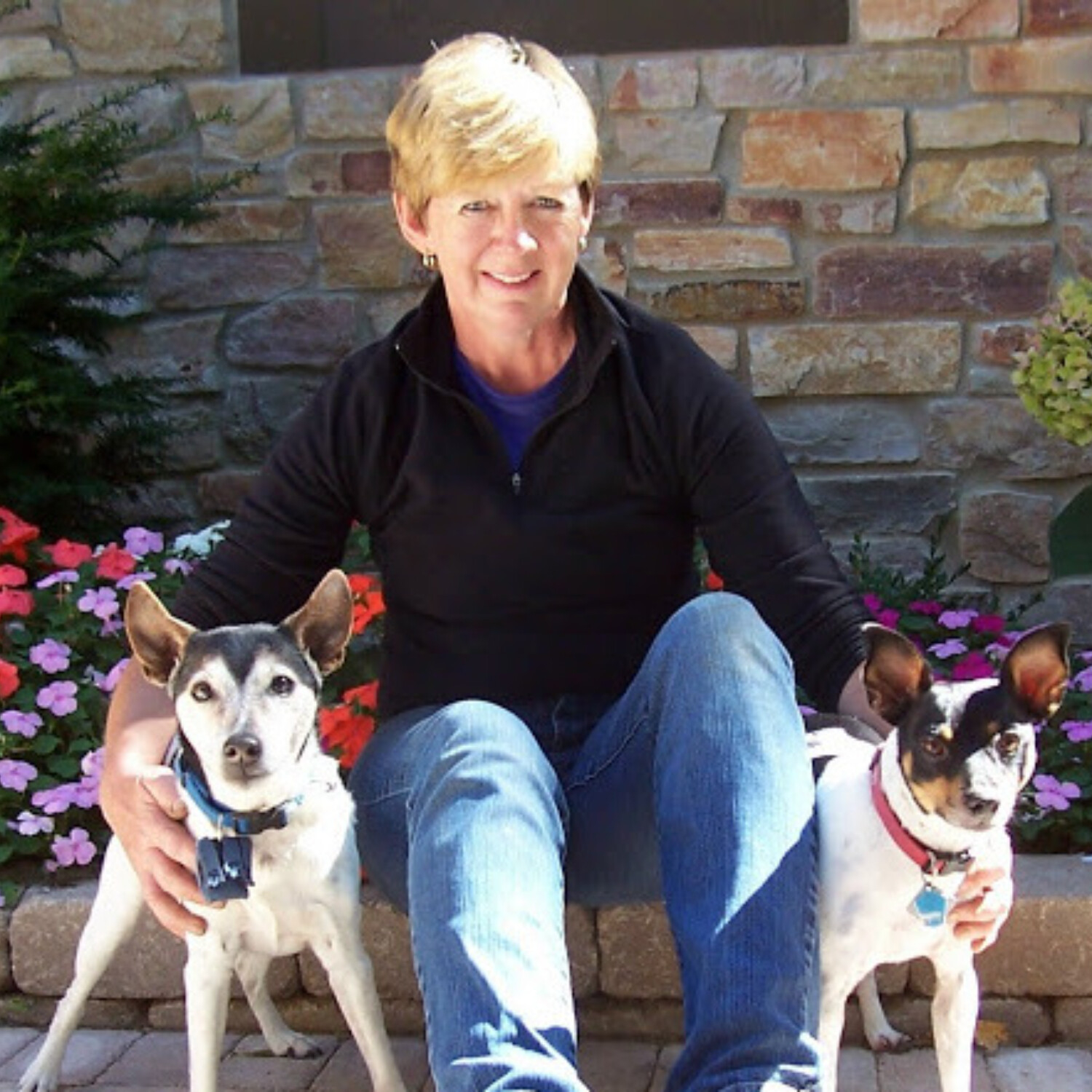 INTERFERING IN LOST DOG RECOVERY - KATHY POBLOSKIE