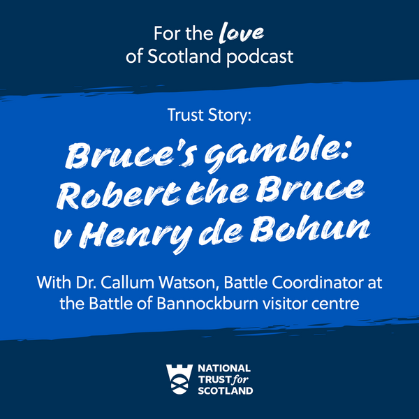 Bruce's gamble: Robert the Bruce v Henry de Bohun artwork
