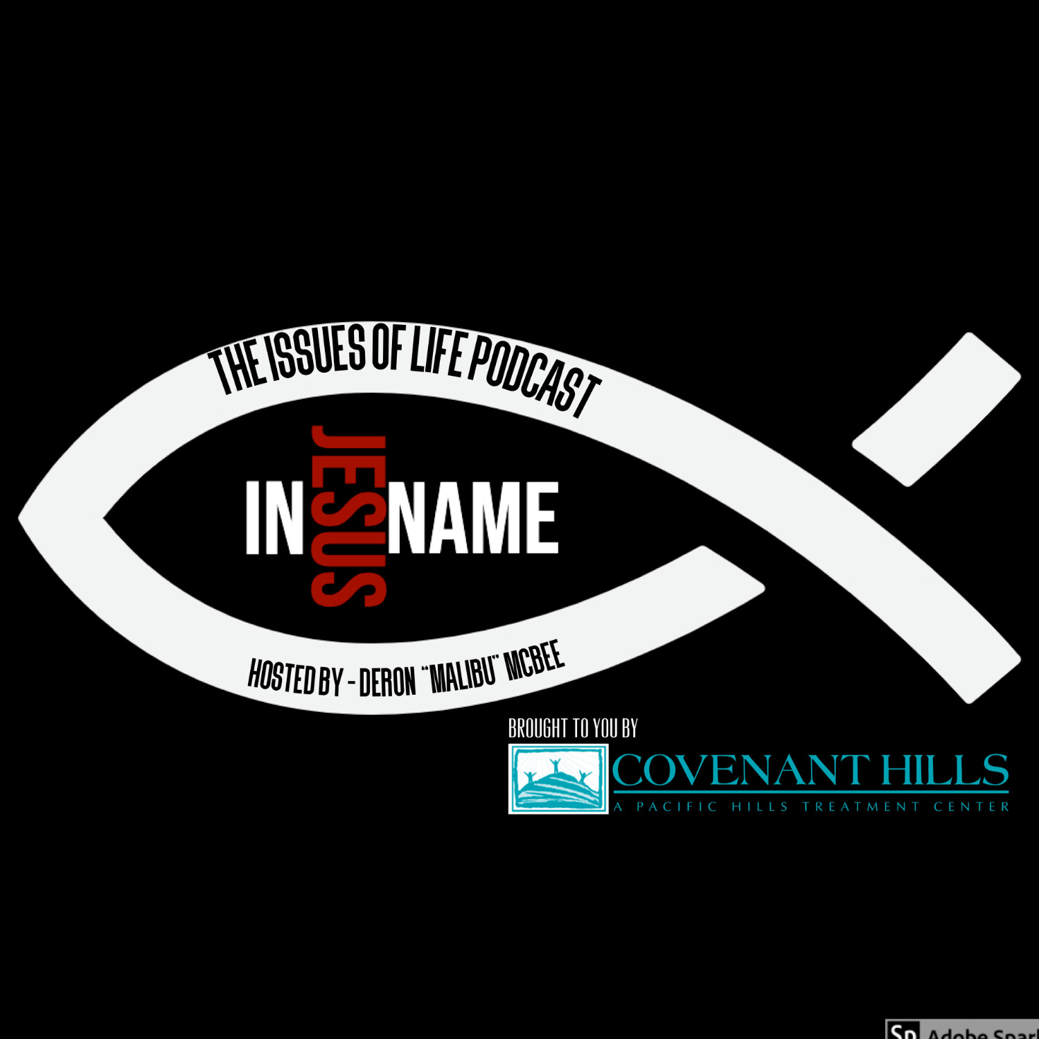 The Issues of Life Podcast with Deron \