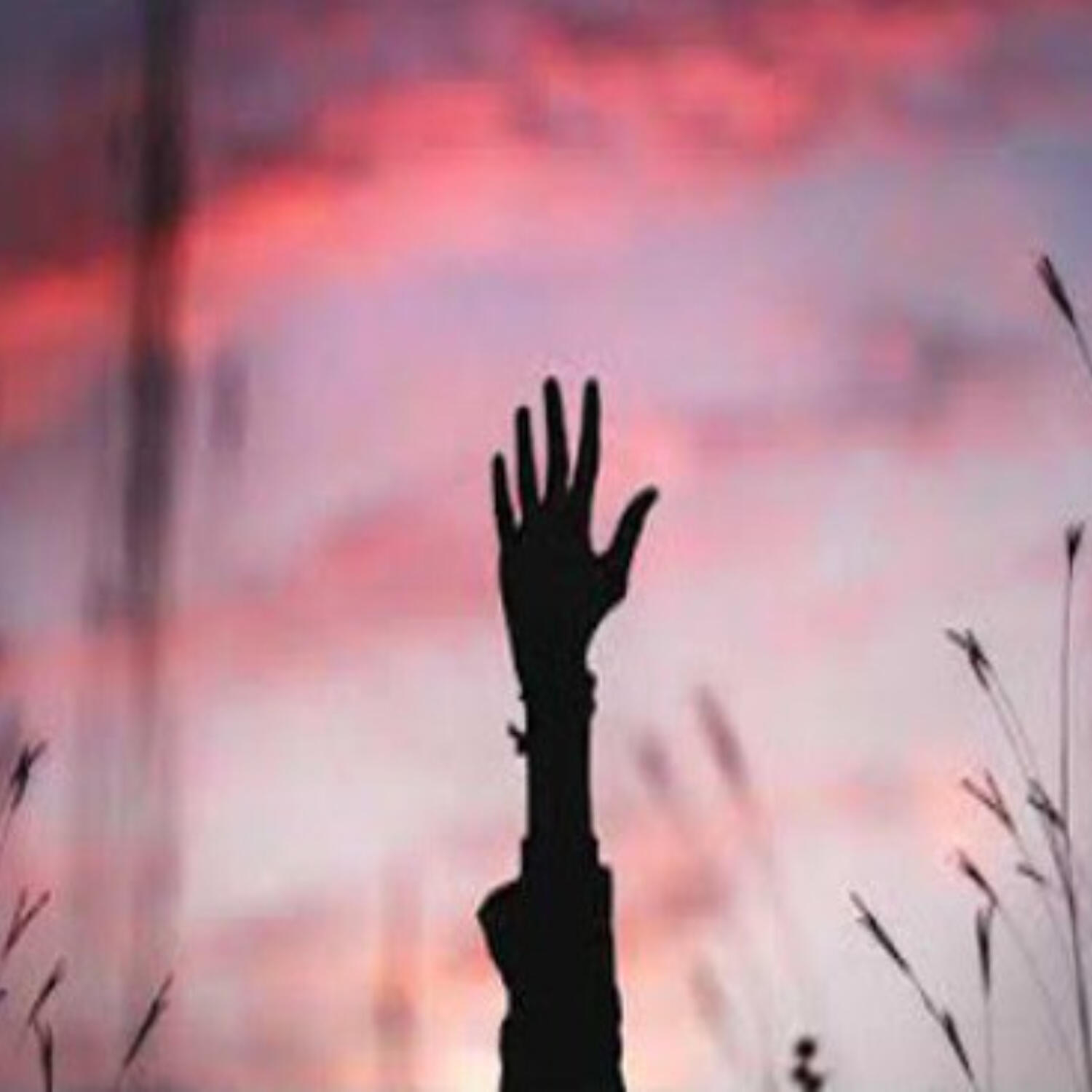 1108-کمکم کنید من گمشدم