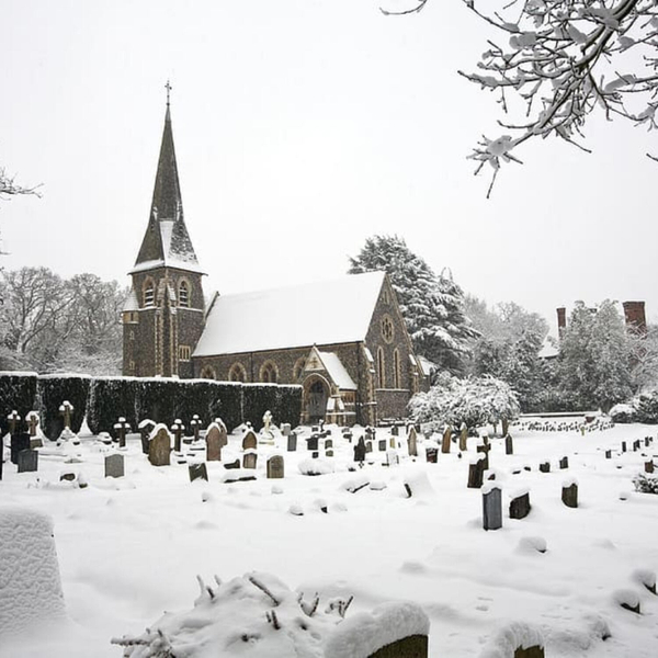 People Who Dislike Philosophy See the Graveyard but Not the Village in Which It Sits artwork