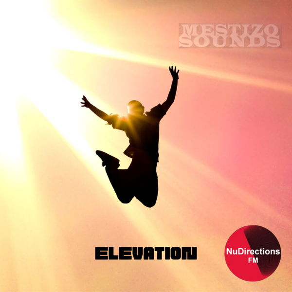 Mestizo Sounds presents ELEVATION artwork