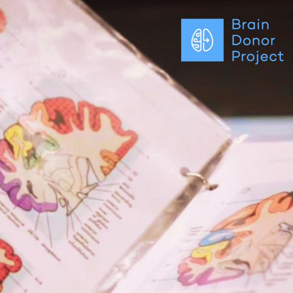 Brain Donor Project artwork