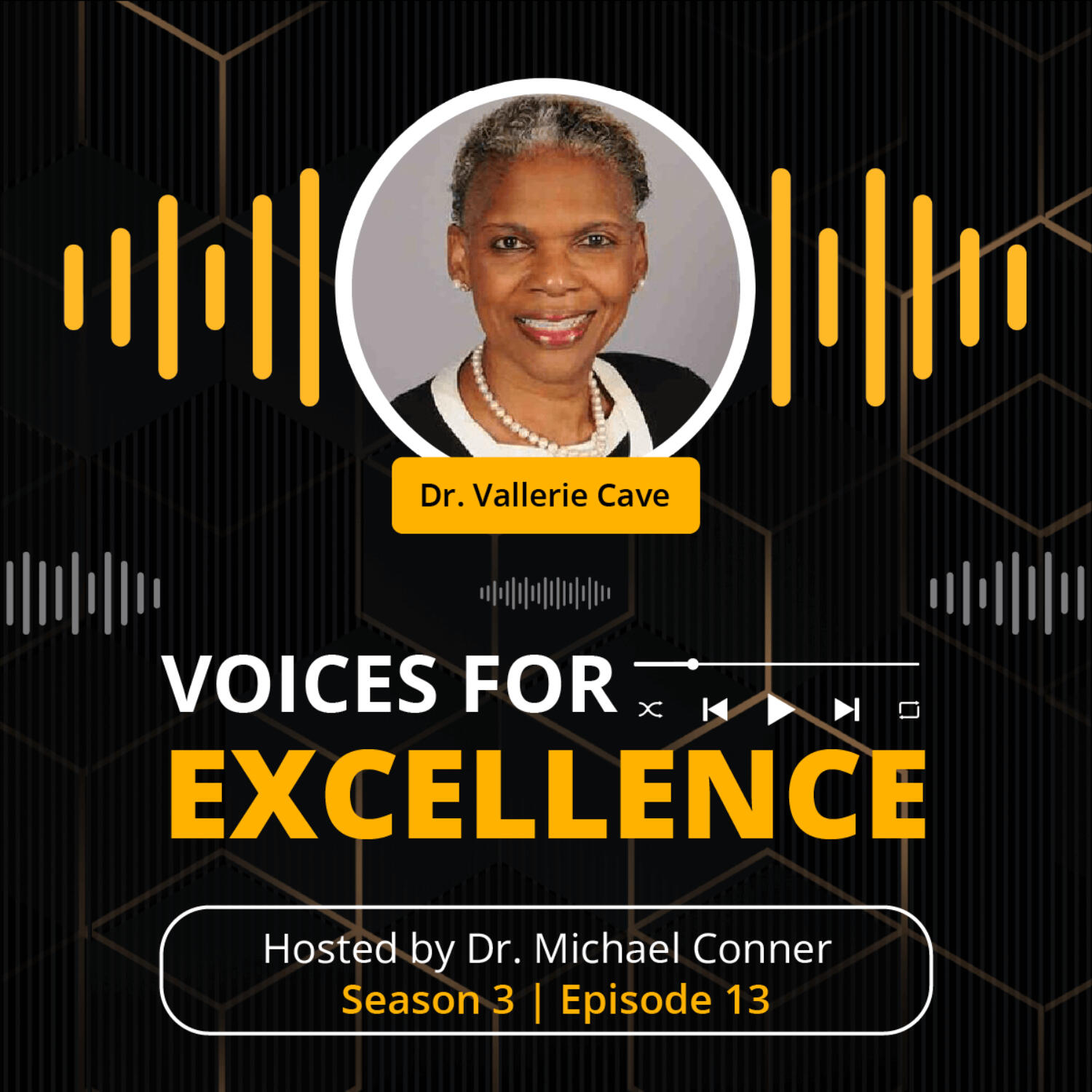 Voices for Excellence