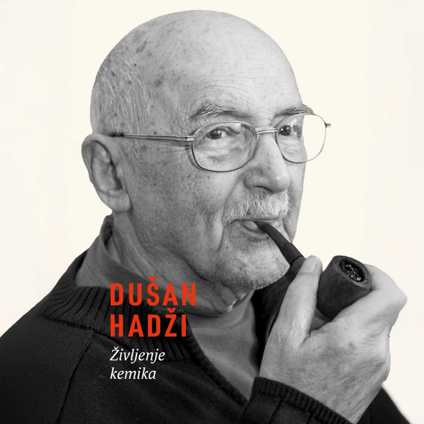  Beyond the Hydrogen Bond: The Legacy of Dušan Hadži artwork