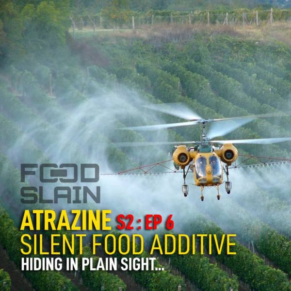 Atrazine-A Silent Food Additive Hiding In Plain Sight artwork