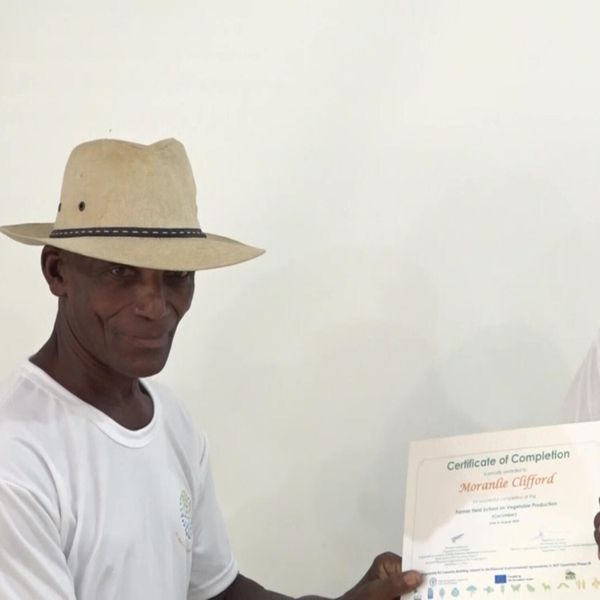 Participants graduate from Farmer Field School on vegetable production artwork