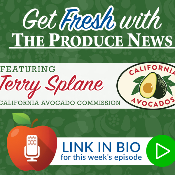 Terry Splane of the California Avocado Commission artwork