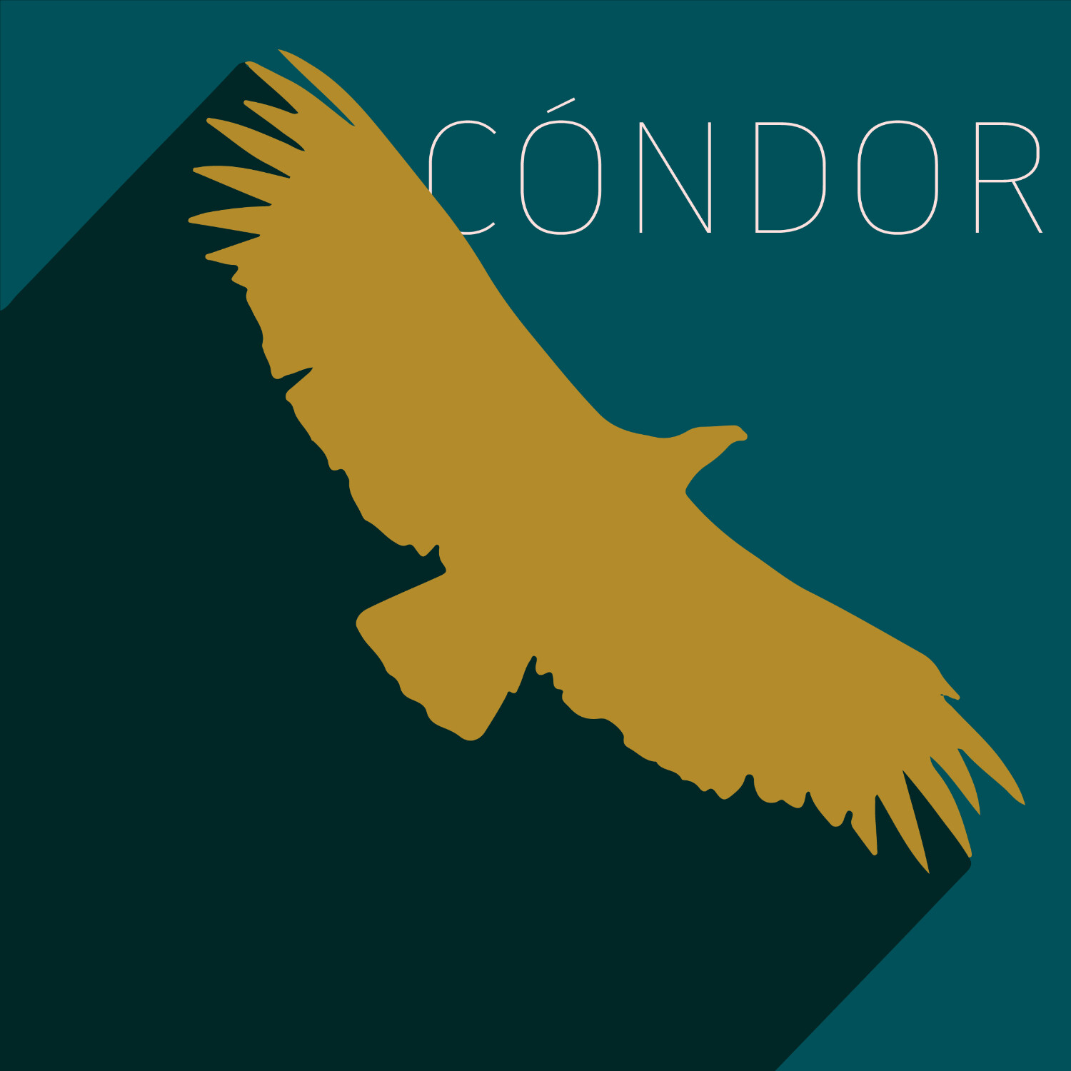 Cóndor