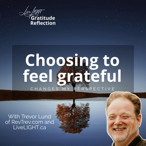 Choosing to feel grateful changes my perspective artwork