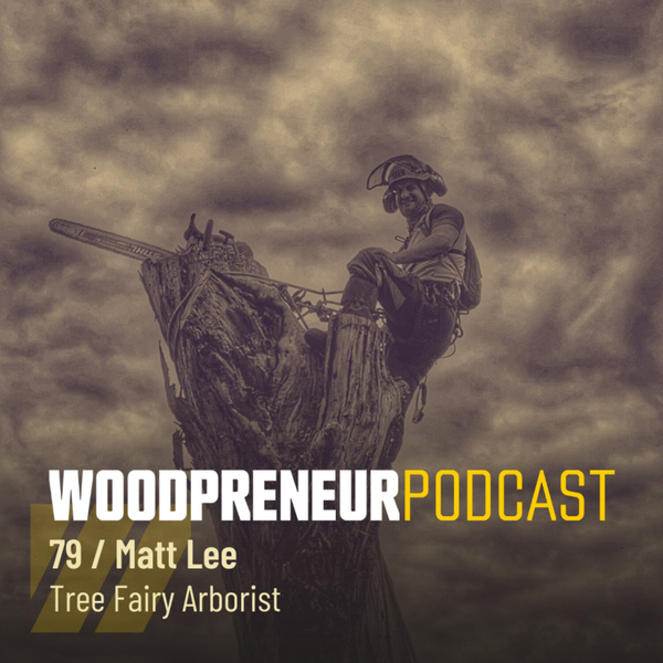 Matt Lee: Tree Fairy Arborist artwork