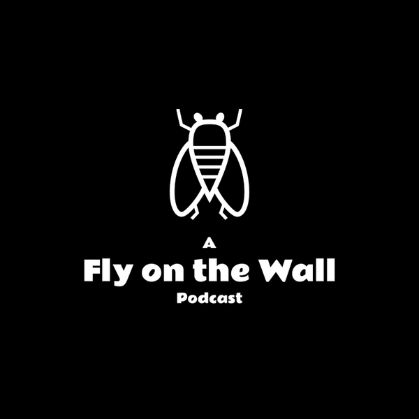 A Fly on the Wall artwork