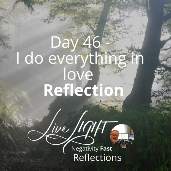 Negativity Fast Reflection - Day 46 - I Do Everything In Love artwork