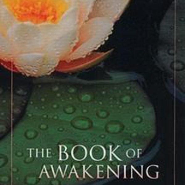 The Book of Awakening: A Journey to Inner Peace artwork
