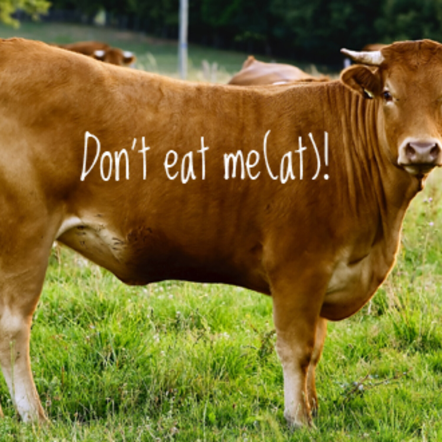 Uppsala estetiska podcast