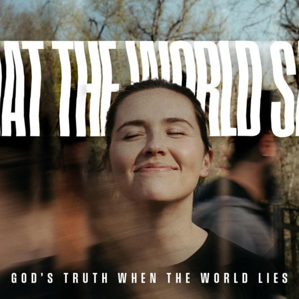 What The World Says | You Answer to No One artwork