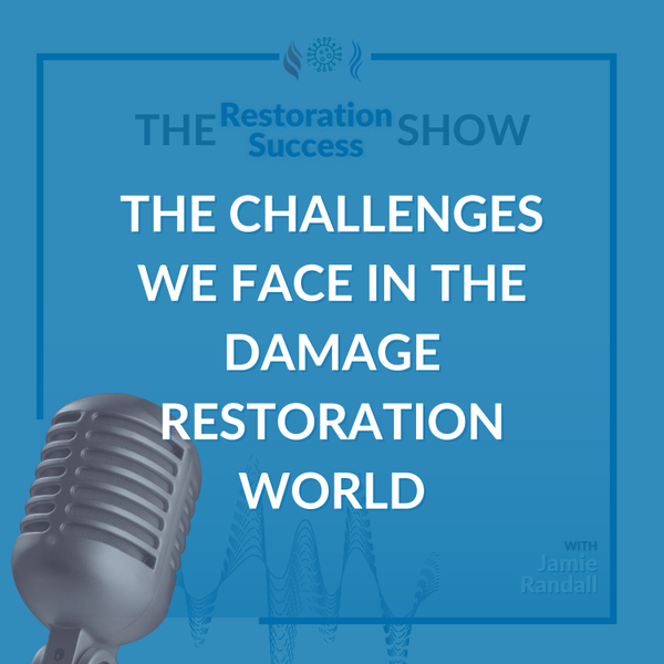 The Challenges we Face in the Damage Restoration World artwork
