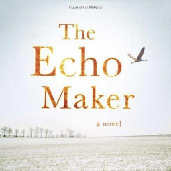 The Echo Maker: A Journey of Identity and Memory artwork