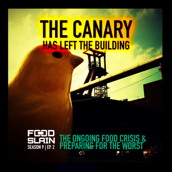 The Canary Has Left The Building - The Ongoing Food Crisis & Preparing for the Worst artwork