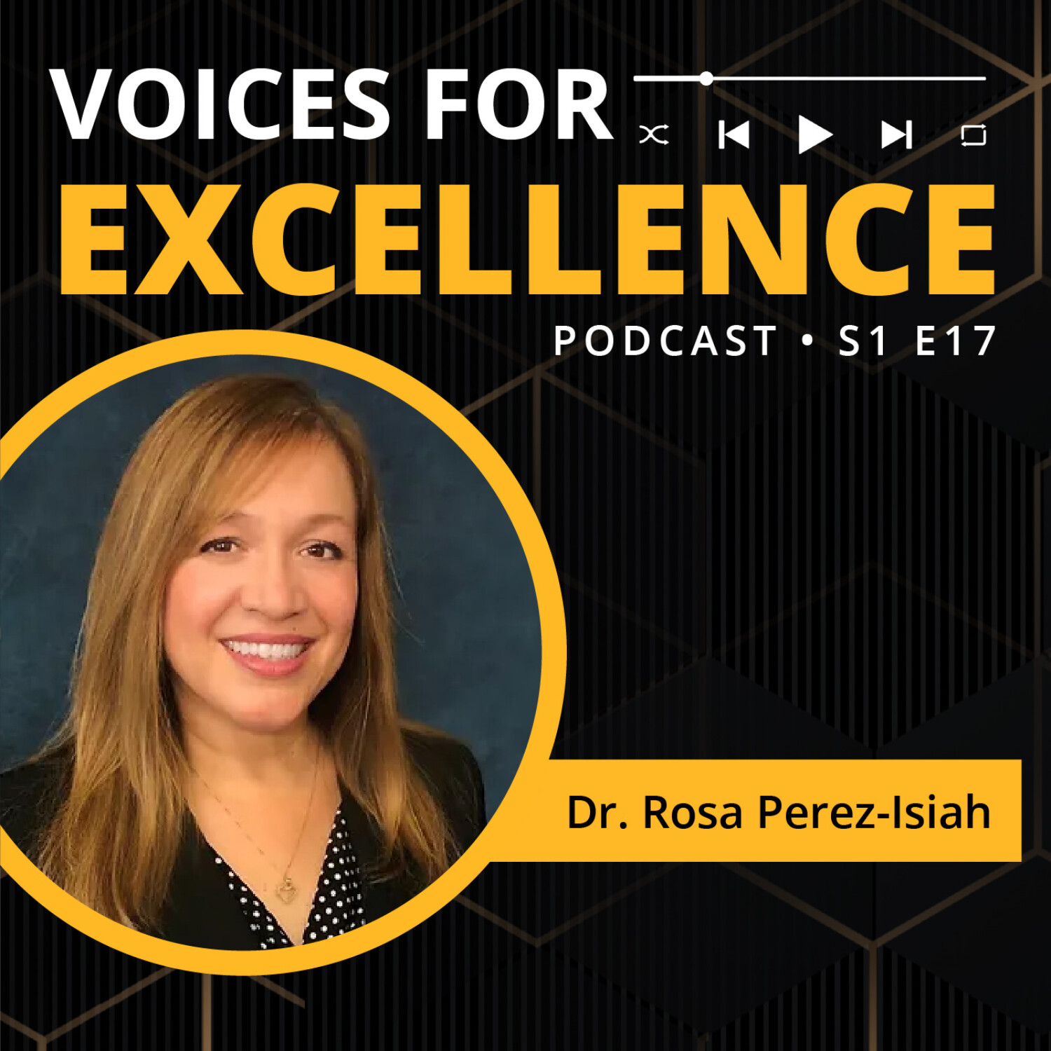 Voices for Excellence