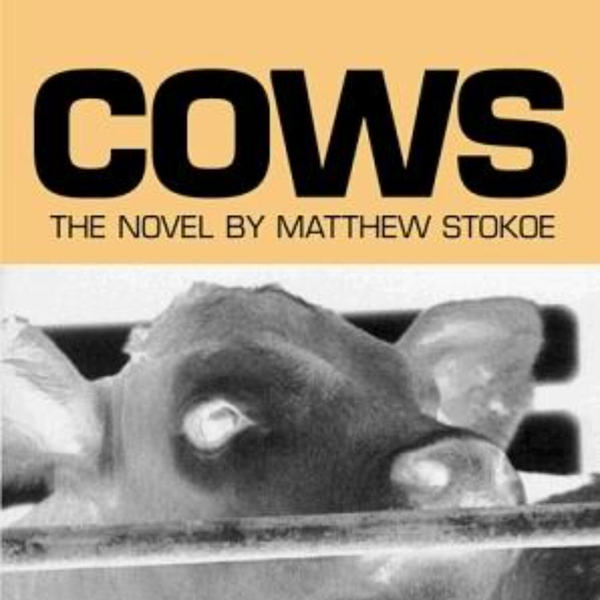 Exploring the Dark Pastures: A Journey Through Matthew Stokoe's 'Cows' artwork