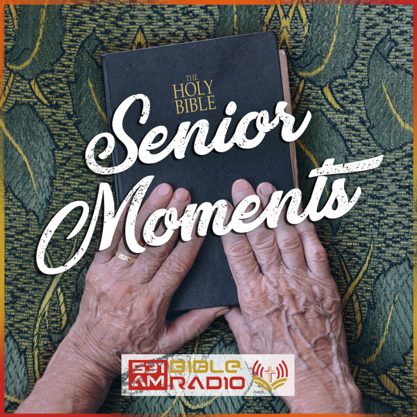 Senior Moments artwork