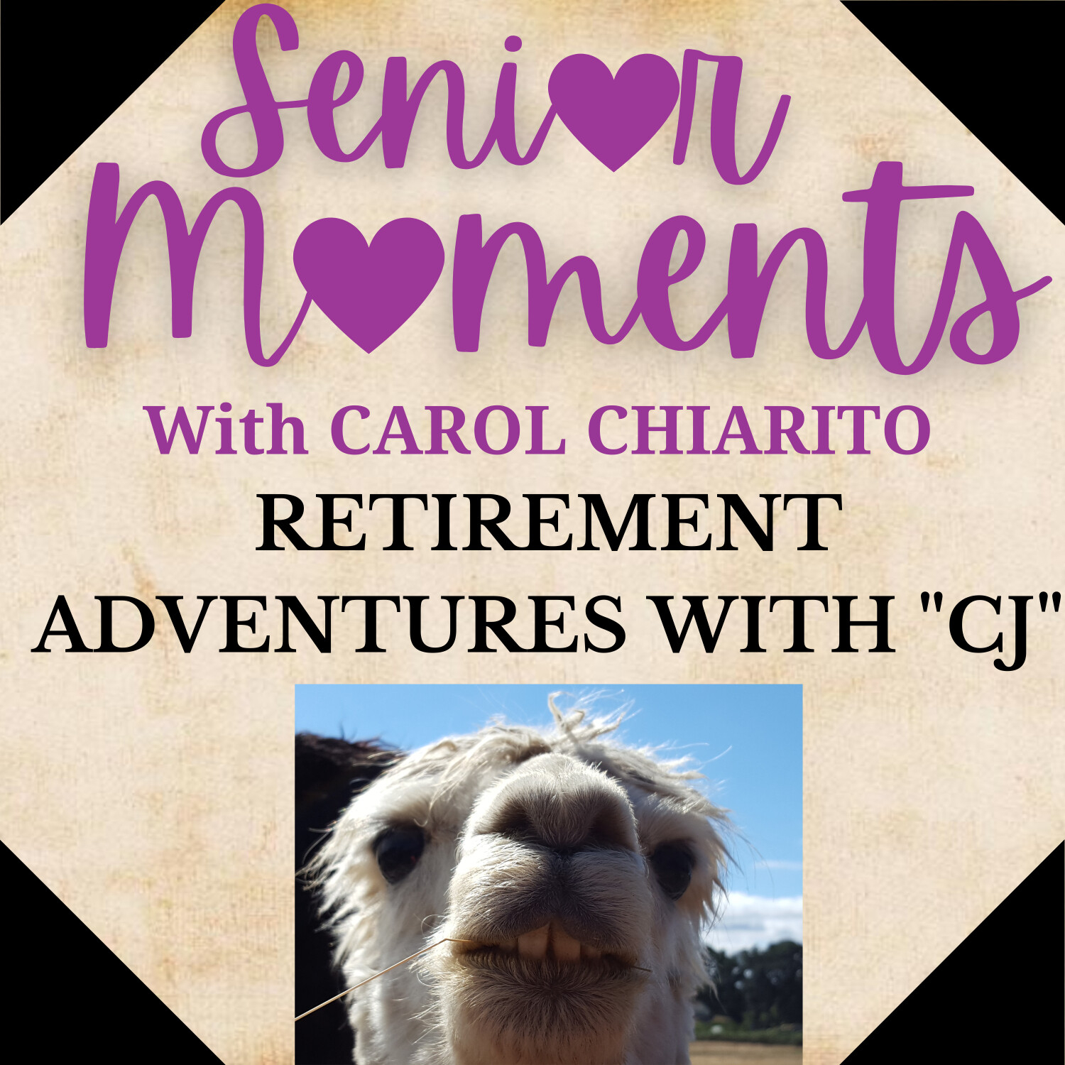 Senior Moments