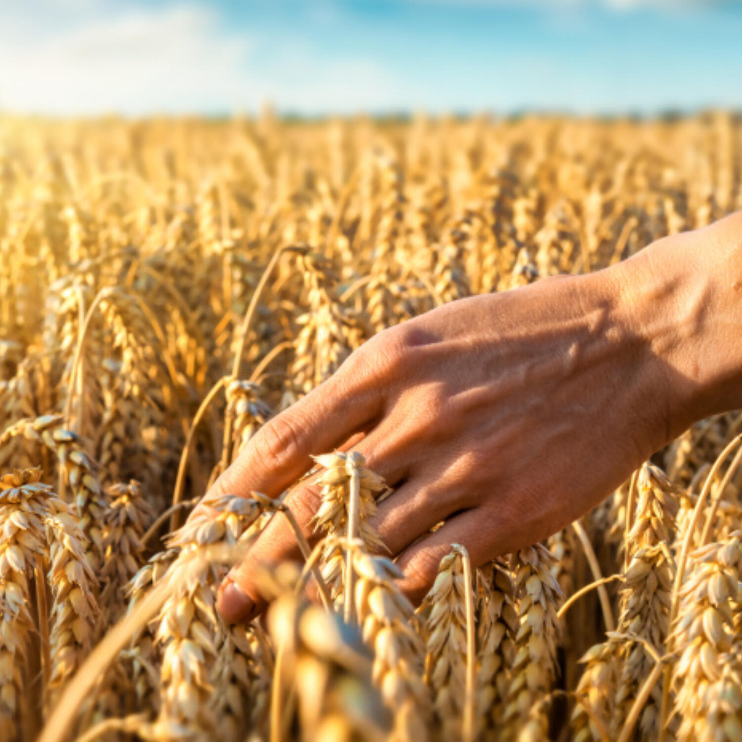 Přinášet úrodu v moci Božího slova