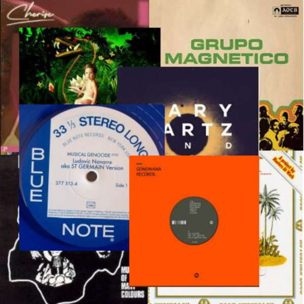 This week NuDirections (https://www.nudirections.net/) essential album is from The Gondwana Orchestra & Dwight Trible – Colours – A tribute to Pharaoh Sanders – an astonishing new look at Pharaoh’s work artwork