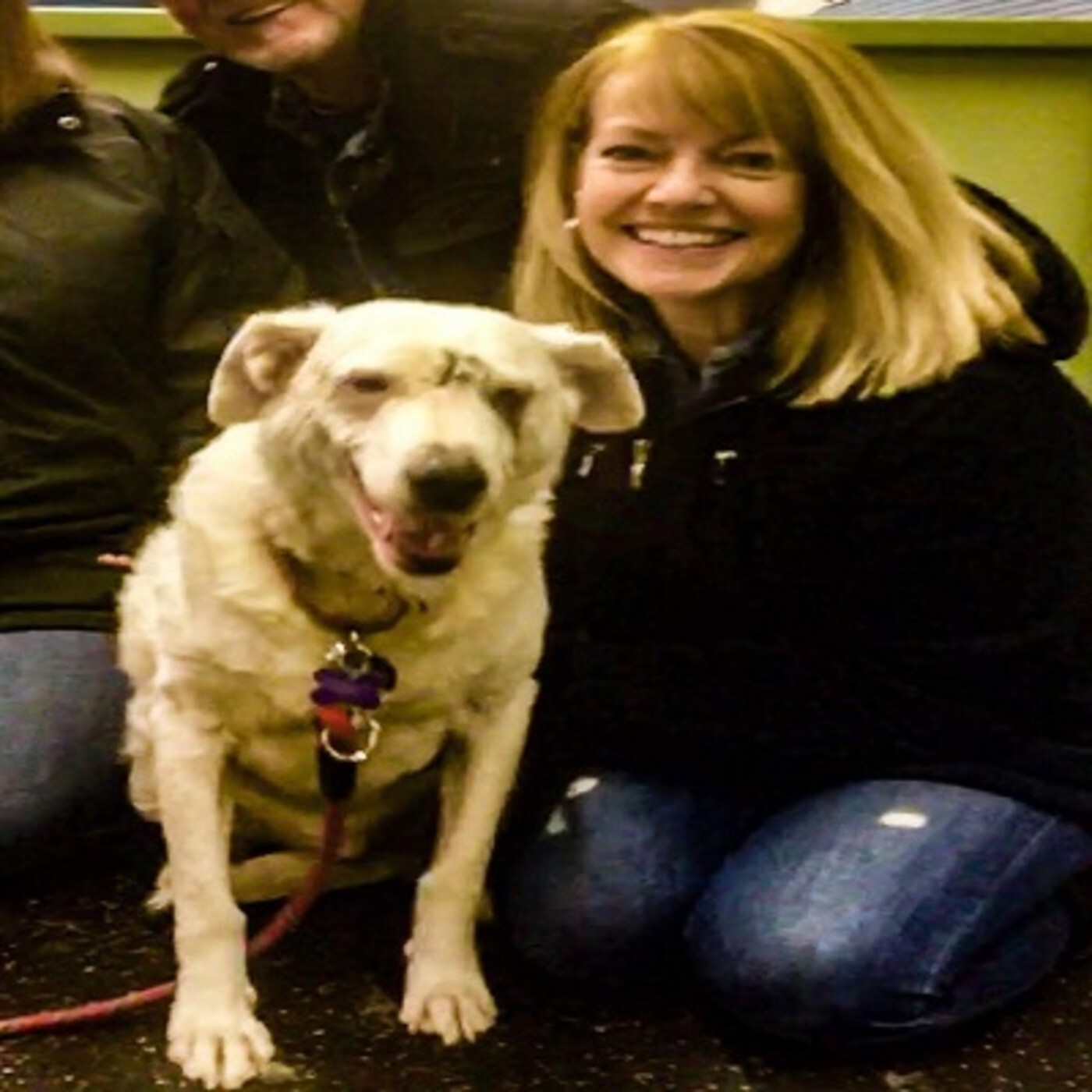 LET\'S TALK PETS - PATTY GIARRUSSO