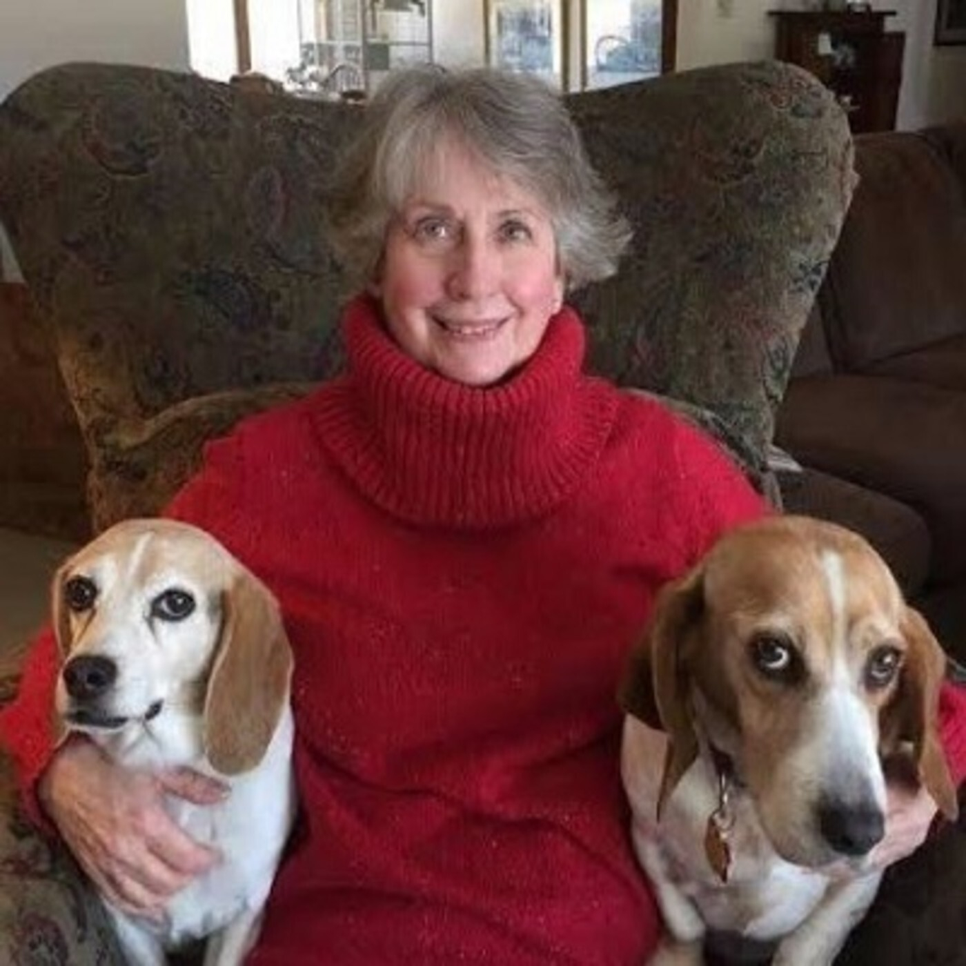 LET\'S TALK PETS - PATTY GIARRUSSO