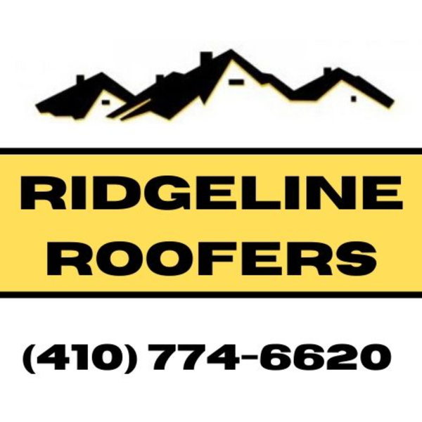 Ridgeline Roofers Columbia Explains What Is the Best Type of Metal Roofing for Commercial Buildings artwork