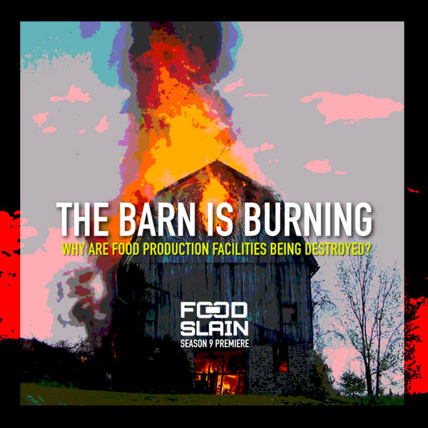The Barn Is Burning : Why Are Food Production Facilities Being Destroyed? artwork