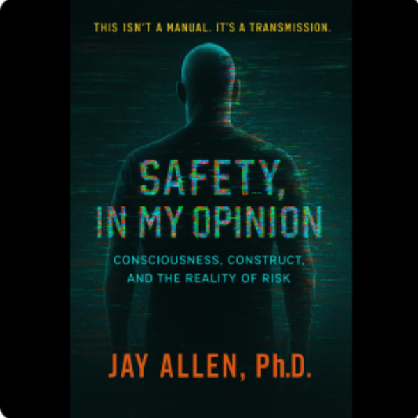 Safety, In My Opinion: Consciousness, Construct, and the Reality of Risk artwork