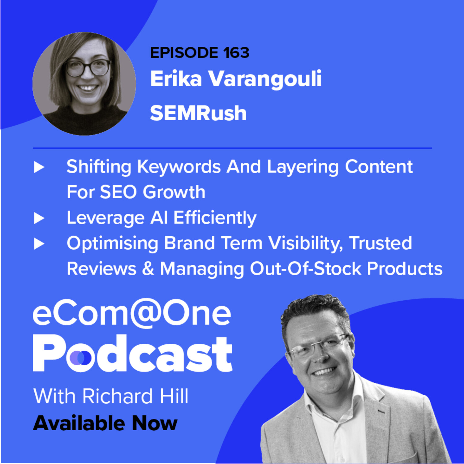 E163: Erika Varangouli -  Securing Budget for eCommerce SEO, Erika from SEM Rush Shares How episode artwork