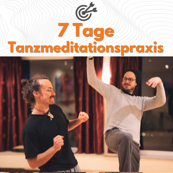 Reflexion: 7 Tage tanzen, leben, fühlen! artwork