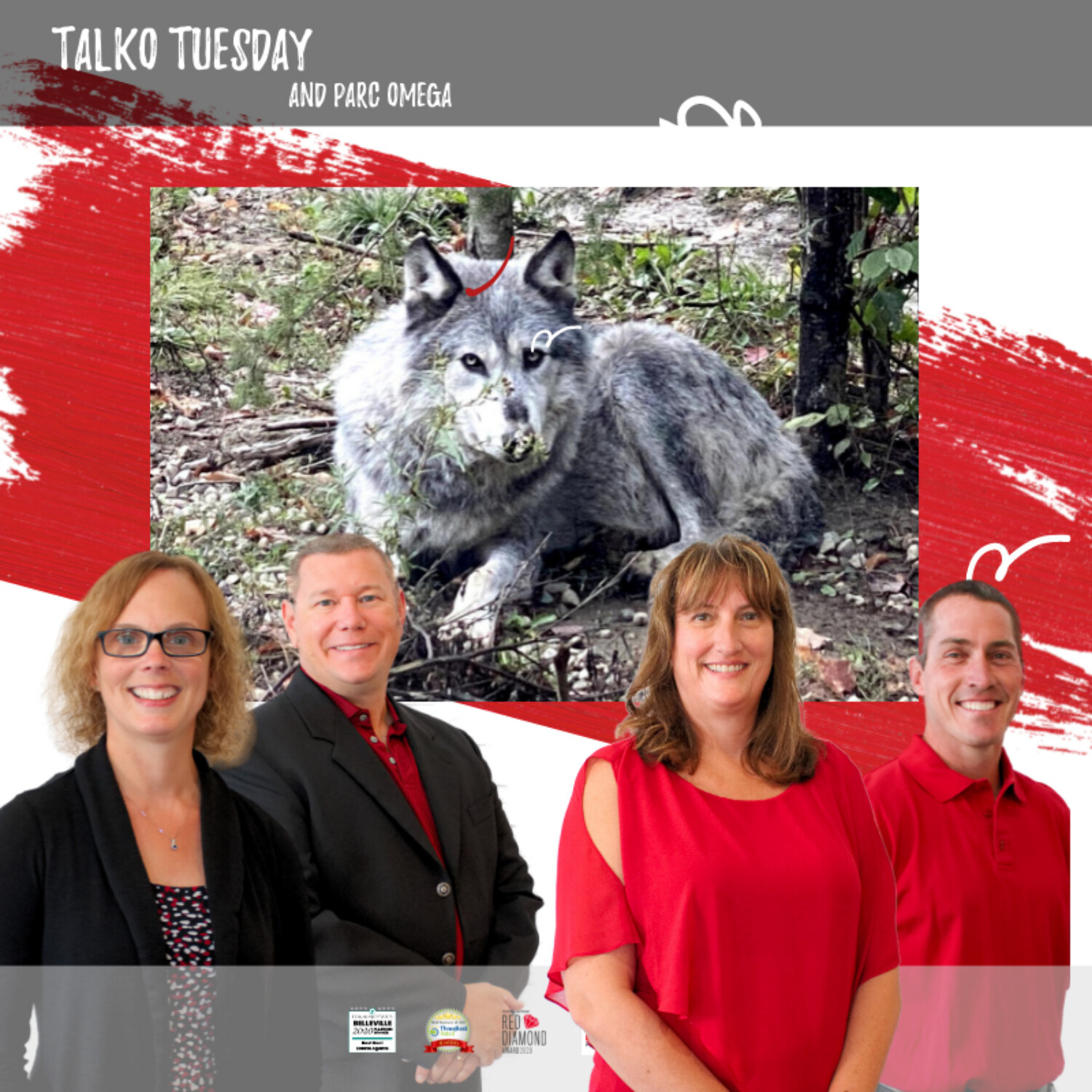 Let\'s Talk Real Estate with Team Tara Lyons
