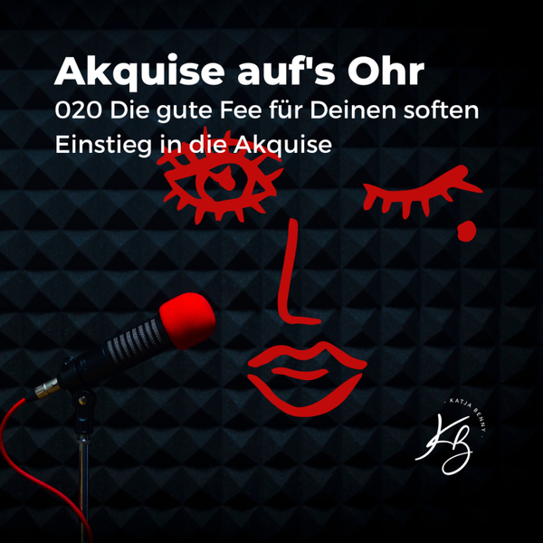 020 Die Gute Fee - handfeste Tipps für den soften Akquisestart artwork