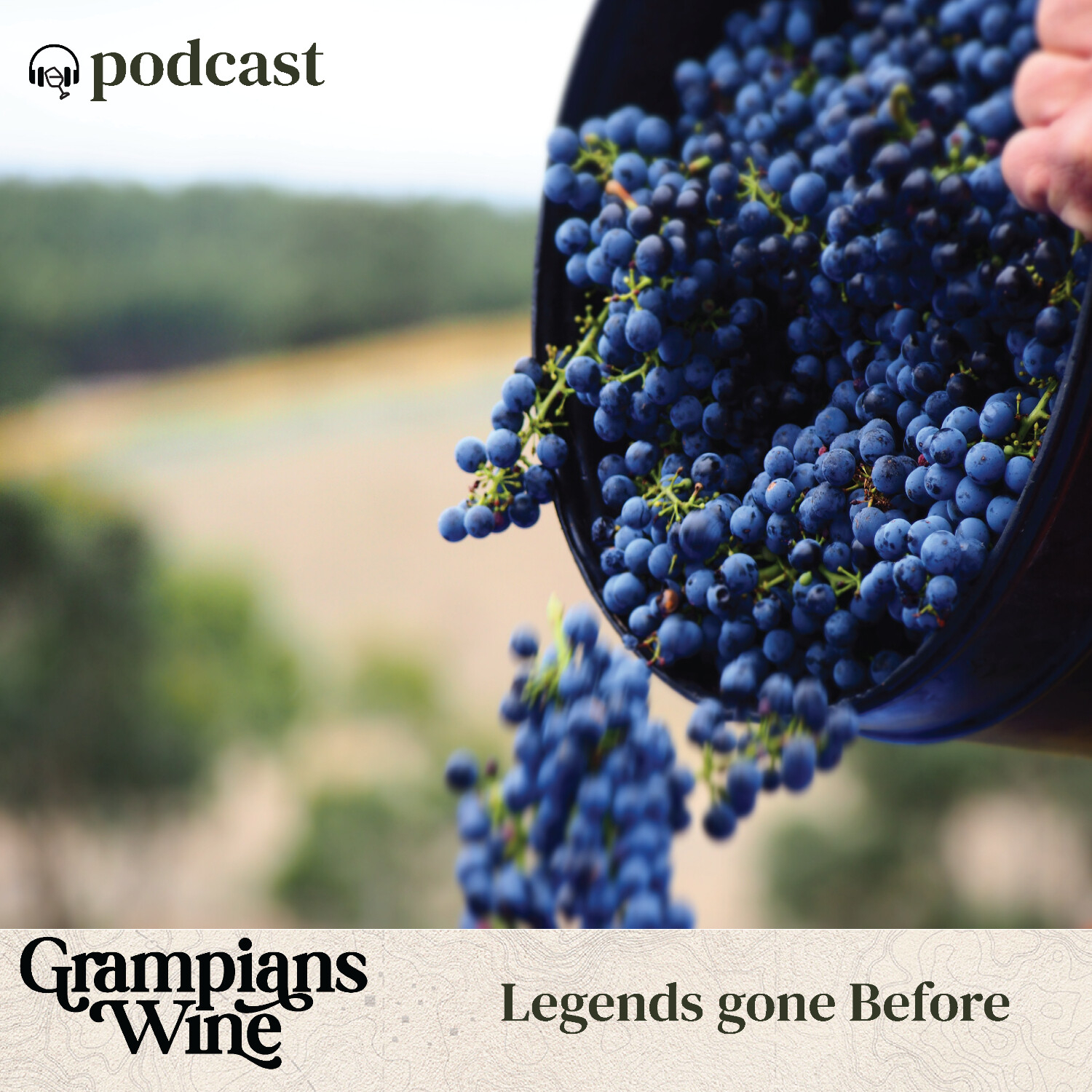 The Grampians Wine Podcast