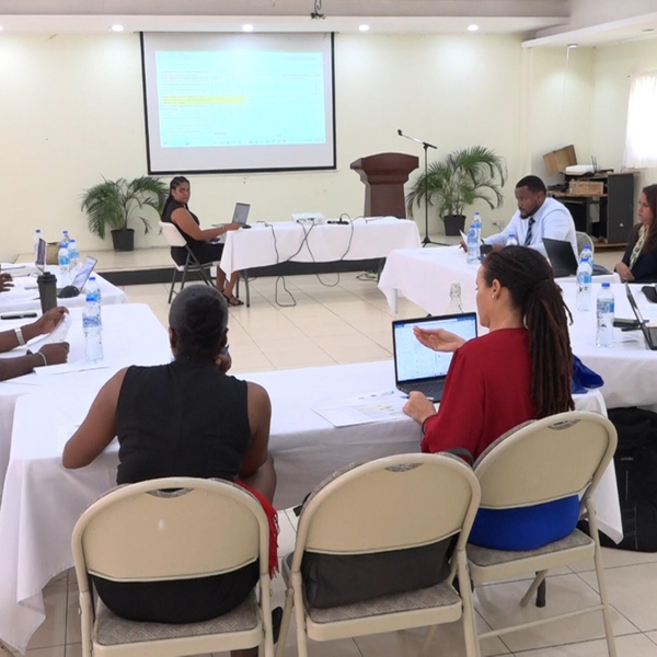 Agriculture Ministry And CDB Align BRACCVAS Project Direction Through Reviewed Strategies artwork
