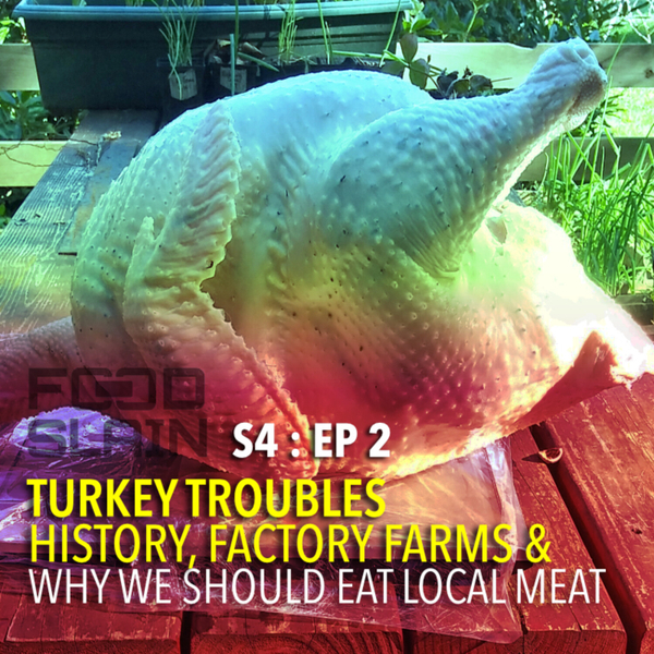 Turkey Troubles - History, Factory Farms & Why We Should Eat Local Meat artwork