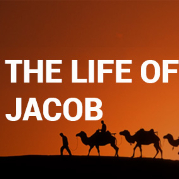 Genesis 28-36 The Life Of Jacob artwork