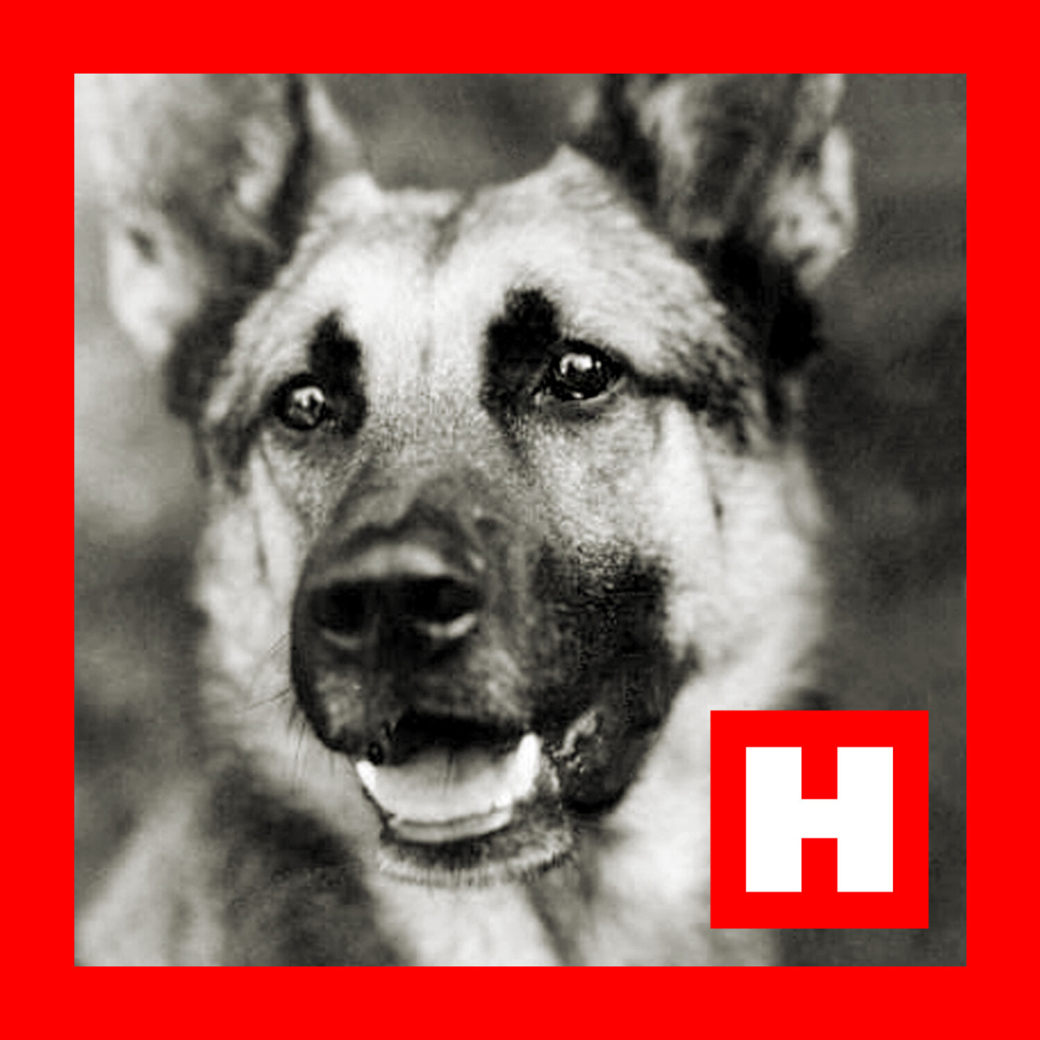 The US Army envisioned using dogs in the Pacific to sniff out enemy Japanese soldiers. Things did not work out as planned. episode artwork