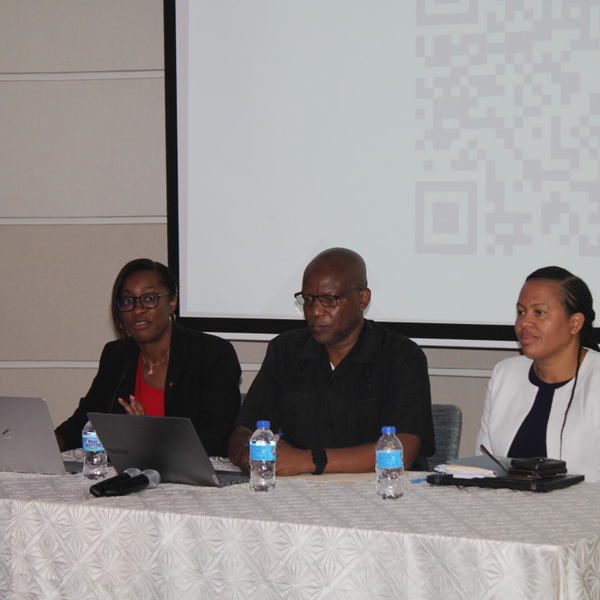 Pan American Health Organisation (PAHO) Team visits Saint Lucia to Review National Plan for Accelerating the Elimination of Cervical Cancer artwork
